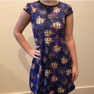 Love Rocks Cat Dress